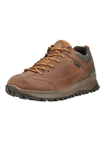 ara Sneaker MARINO Braun