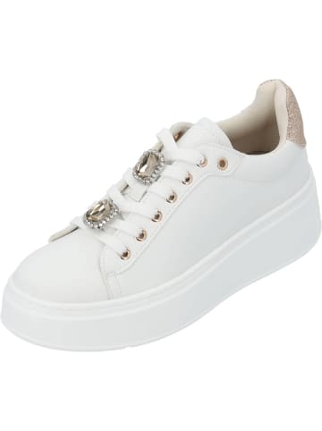 palado Sneakers Low in WHITE/GOLD