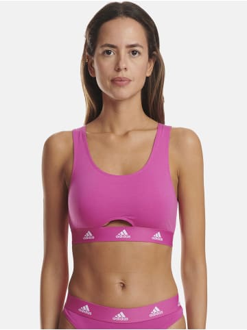 adidas Bustier SCOOP BRALETTE in pink