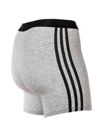 adidas Boxershort 6er Pack in Grau