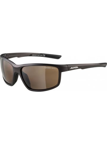 Alpina Alpina Sonnenbrille Defey Rahmen tinn matt