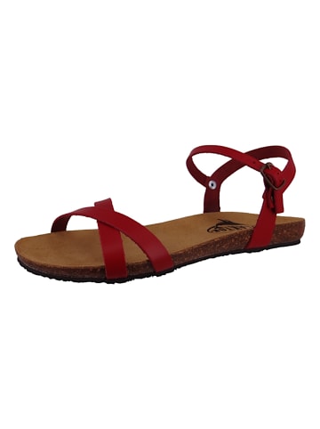 Plakton Sandalen rot