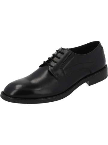 palado Klassische Halbschuhe in BLK