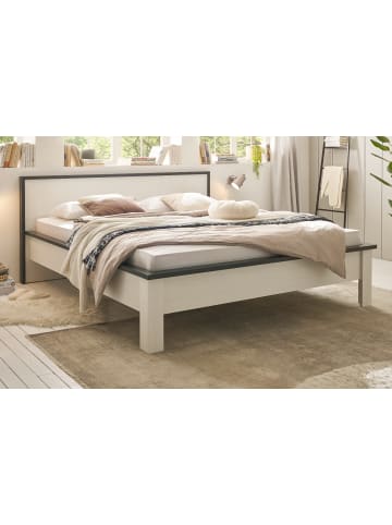 Furn.Design Bett weiß Pinie, anthrazit Landhaus, Doppelbett Liegefläche 180 x 200 cm