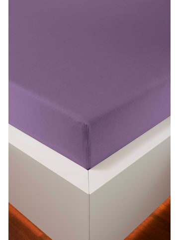 bellana jersey Spannbetttuch Edel-Jersey Elasthan in pflaume