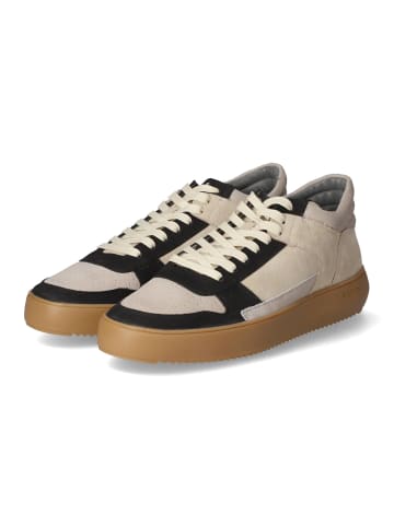 Blackstone Low Sneaker in Beige