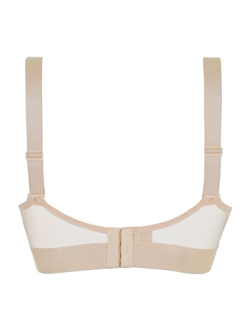 DKNY Bra Sheers in cashmerend