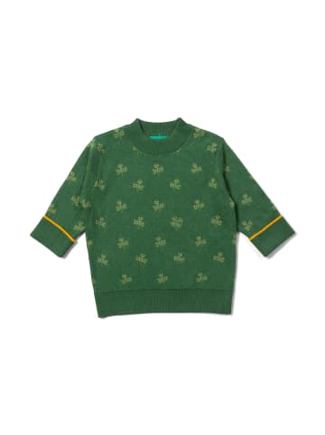 Little Green Radicals Bio-Strickpullover in Grün