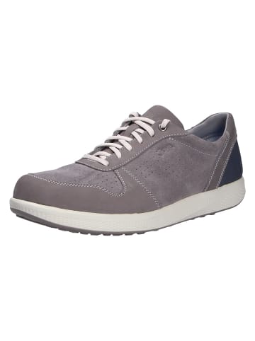 Joya Schnürschuh SVEN GREY II in grau