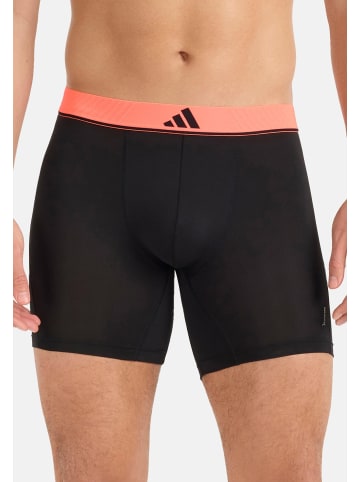 Adidas Sportswear Long Short / Pant Active Micro Flex in Dunkelrot / grün