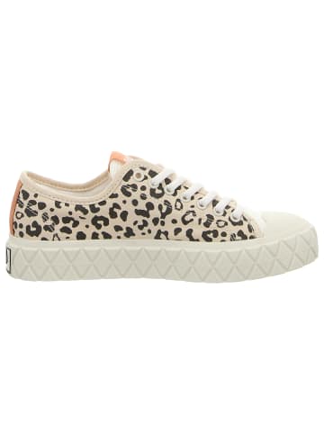 Palladium Sneaker Low in beige