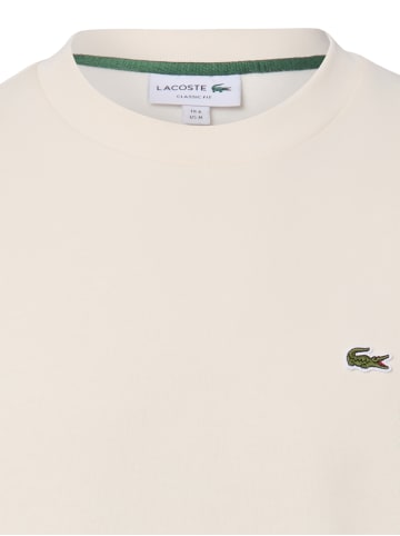 Lacoste Sweatshirt in vanille