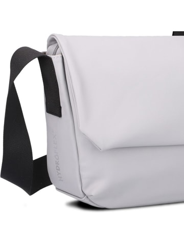 Zwei Cargo Messenger 32 cm in ice