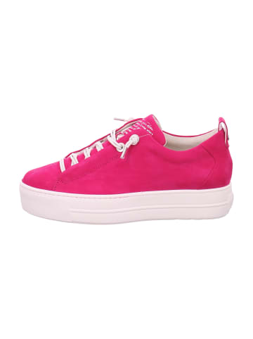 Paul Green Plateau Schnürschuhe in Pink