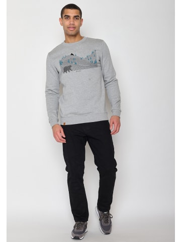 GreenBomb Wild Animal Bearland in Heidekraut Grau