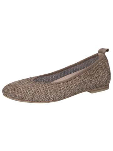 Caprice Ballerina in MUD COMB