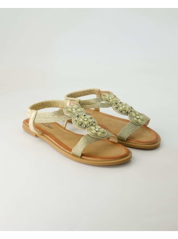 Ella Cruz Sandalen in Gold