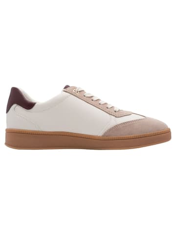 Marco Tozzi Sneaker in CREAM/BORDEAUX