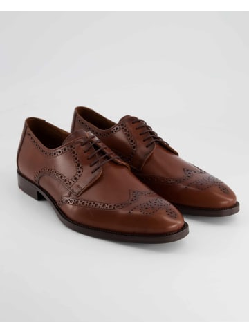 LLOYD Anzug- & Businessschuhe in Braun