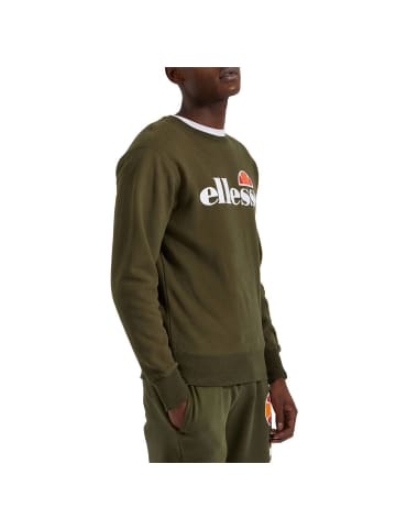 ellesse Sweatshirt in Grün