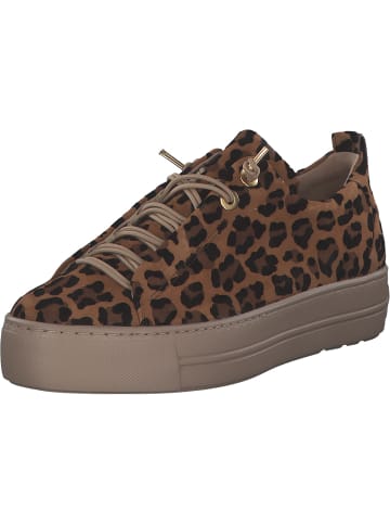 Paul Green Schnürschuhe in cuoio leo