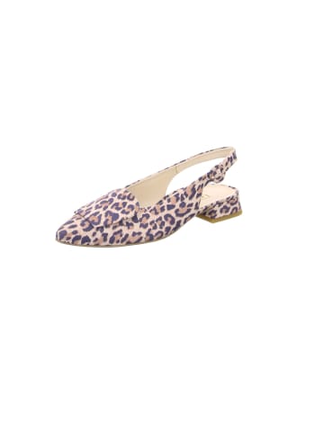 Paul Green Sling-Pumps in leopard
