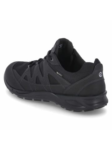 Ecco Outdoorschuhe TERRACRUISE LT M in Schwarz