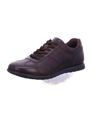 Bugatti Schnürschuhe  in Braun