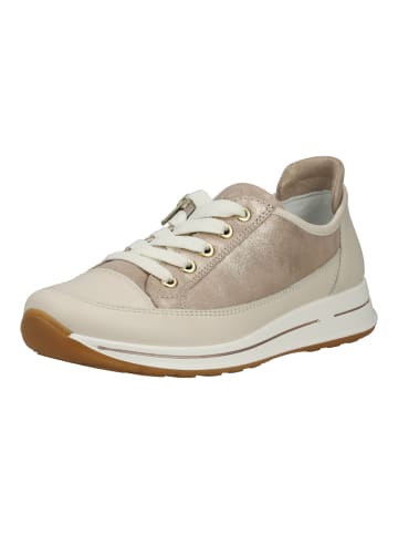 ara Sneaker in Beige