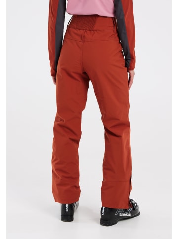 Protest " CINNAMON in Uluru Rust