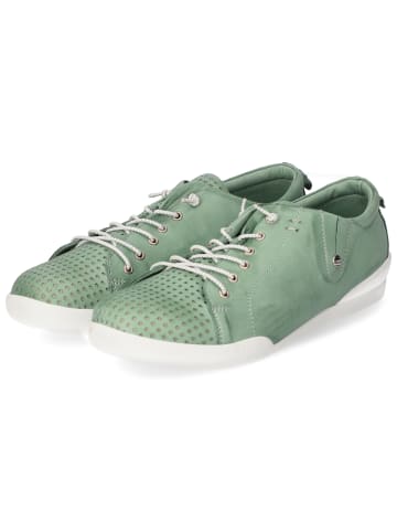 Andrea Conti Schnürhalbschuh in grün