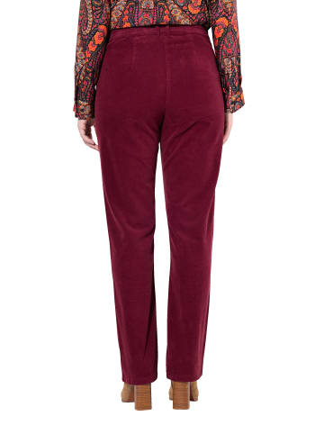 Ulla Popken Hosen in weinrot