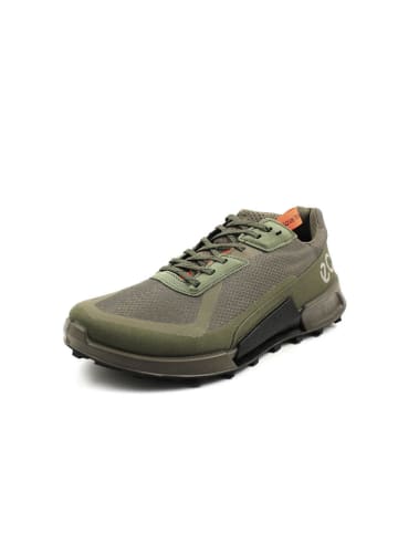 Ecco Outdoorschuh in grün