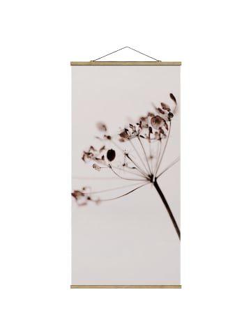 WALLART Stoffbild - Makroaufnahme Trockenblume im Schatten in Creme-Beige