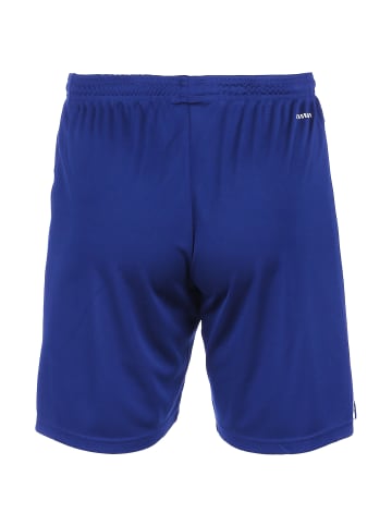 adidas Performance Trainingsshorts Squadra 21 in blau / weiß