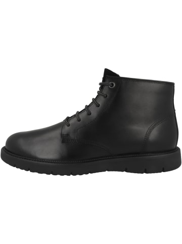 Geox Boots U Pove in schwarz