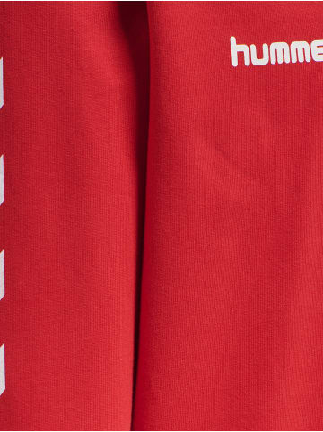 Hummel Hummel Cotton Kapuzenpullover Hmlgo Multisport Kinder in TRUE RED