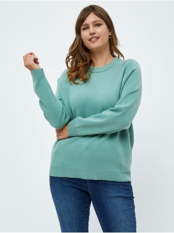Peppercorn Pullover in Mint Green