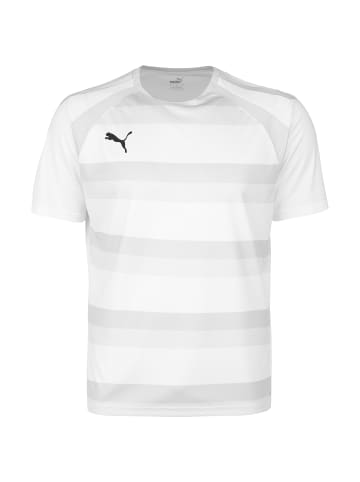Puma Fußballtrikot teamVision in weiß / grau