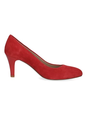 Caprice Pumps in Rot