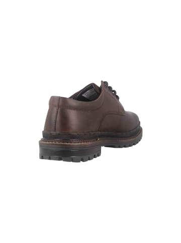 Camel Active Halbschuhe in Braun