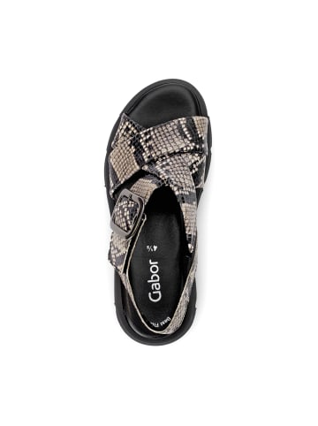 Gabor Plateau Sandaletten in Animal