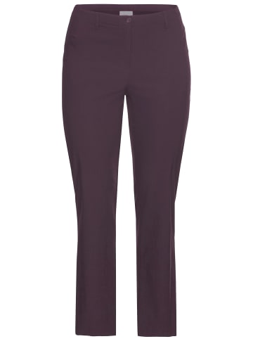 sheego Stretch-Hose in aubergine