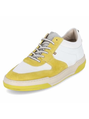 Floris van Bommel Low Sneaker DE DUNKER in Gelb