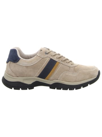 Camel Active in grau