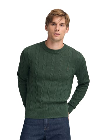 Polo Club Pullover in Warmes Grün