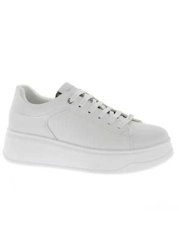 Armata di Mare Sneaker AMDS61H36-STRWHTROCK Weiß