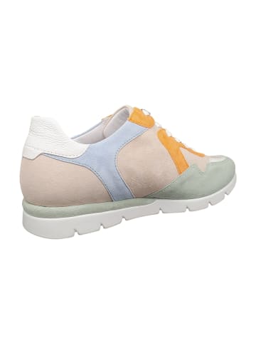 Semler Sneaker Low in Bunt