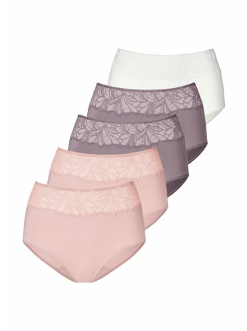 Vivance Taillenslip in rosé, taupe, creme