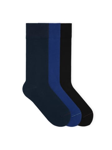 von Jungfeld Classic Socken-Set Signature Innenbund in Spring